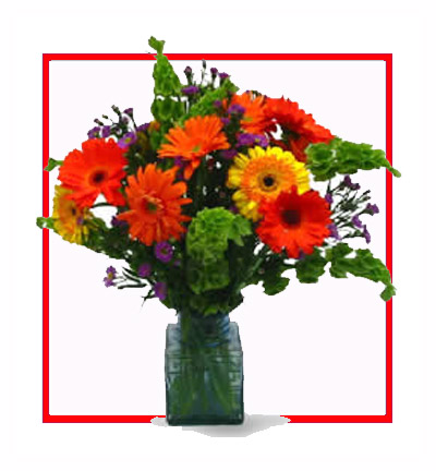 Bouquet of 12 Red and Yellow Gerberas