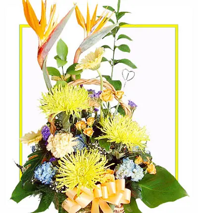 Yellow Flower Basket with Birds of Paradise