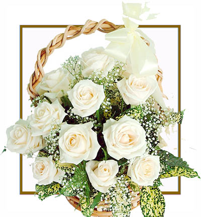 Heavenly 12 White Roses