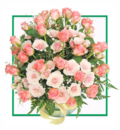 Pink Paradise Roses