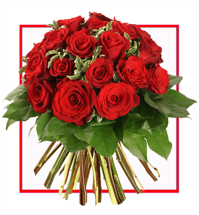 Bouquet of 20 Red Roses