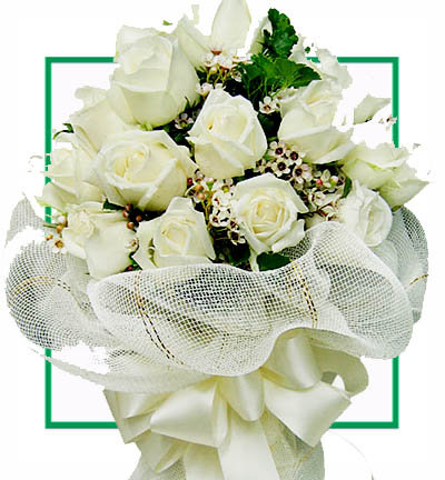 Beautiful Bunch of 15 White Roses