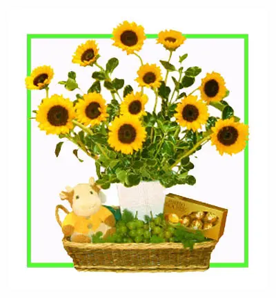 Yellow Gerbera Basket with Teddy & Ferrero Rocher