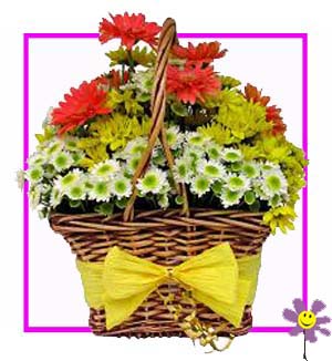 [B-12-R-GER-1] Basket of Red Gerberas