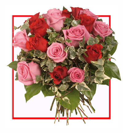 [N-20-PR-R-1] Bouquet of Pink and Cream Dutch Roses