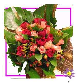 [N-20-P-RR-1] Bunch of 20 Pink and Red Roses