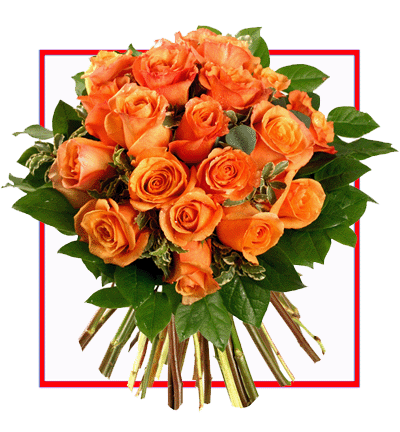 [PN-20-O-R-1] 20 Orange Roses Bouquet