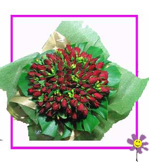 [N-100-R-R-1] Majestic 100 Red Roses Gift