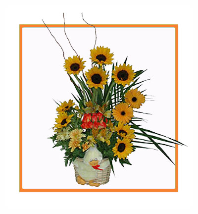 [B-15Y-GER-TEDDY-1] Bouquet of Yellow Gerberas and Soft Toy Gift