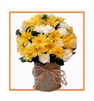 [B-25-YW-CGER-1] Just For You Bright Flower Arrangement